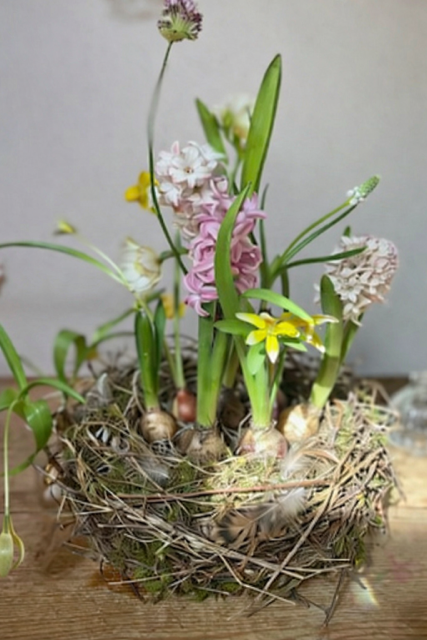 コース画像113966