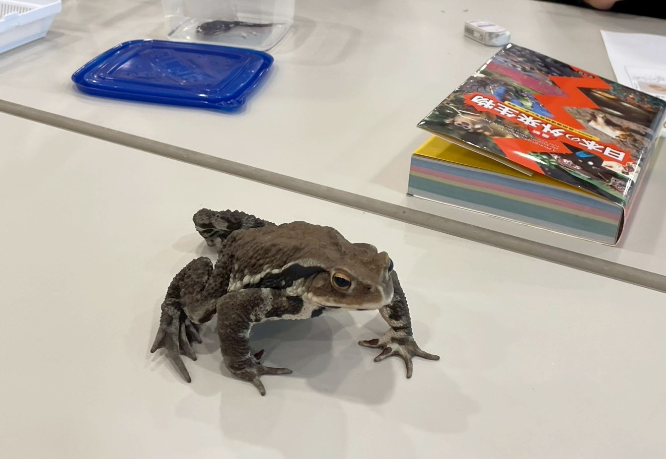 コース画像110885