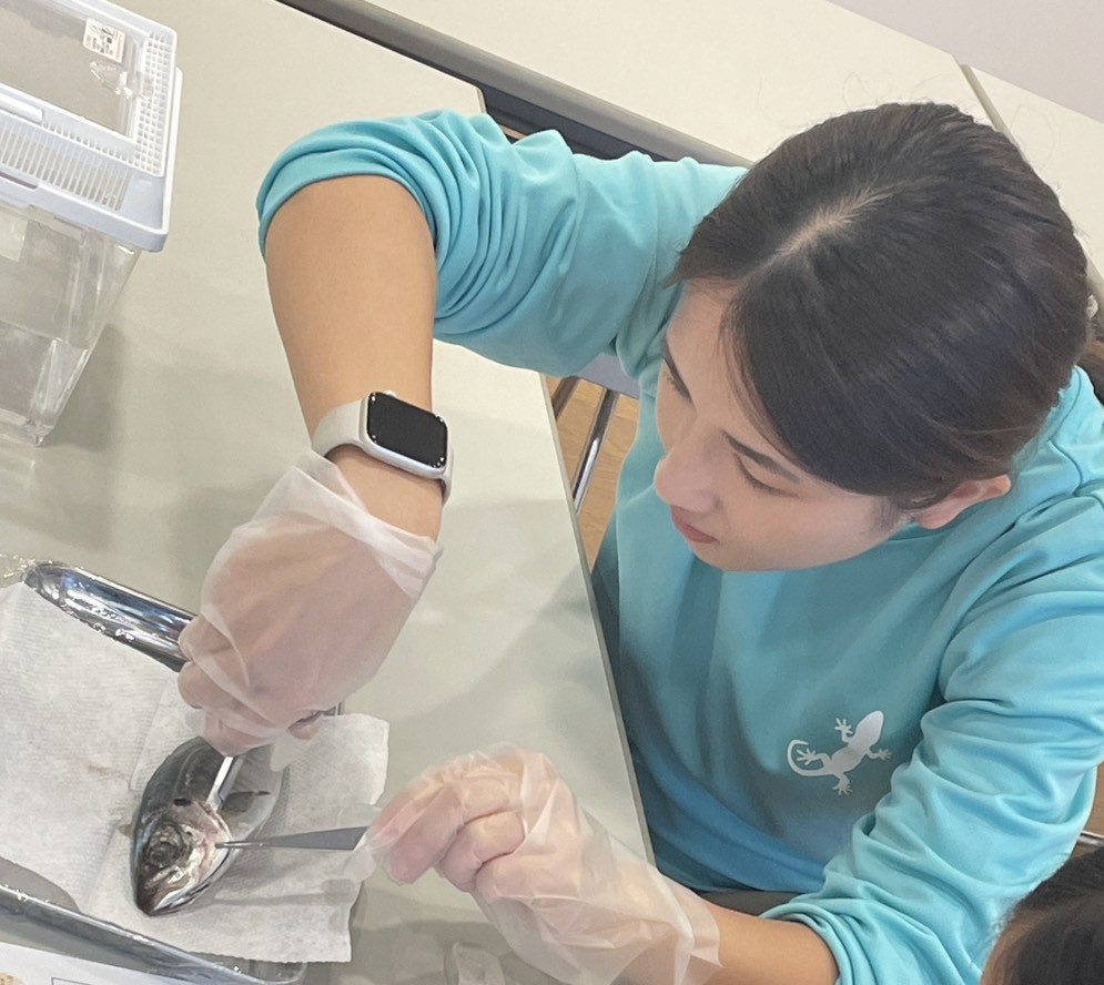 コース画像114099