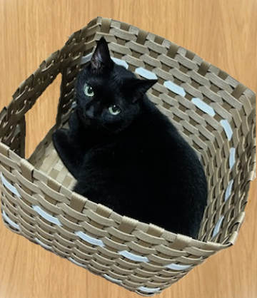 コース画像112861