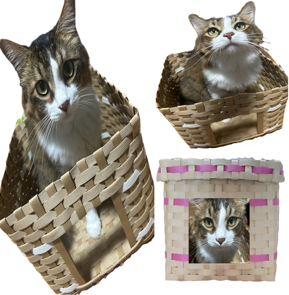 コース画像112862