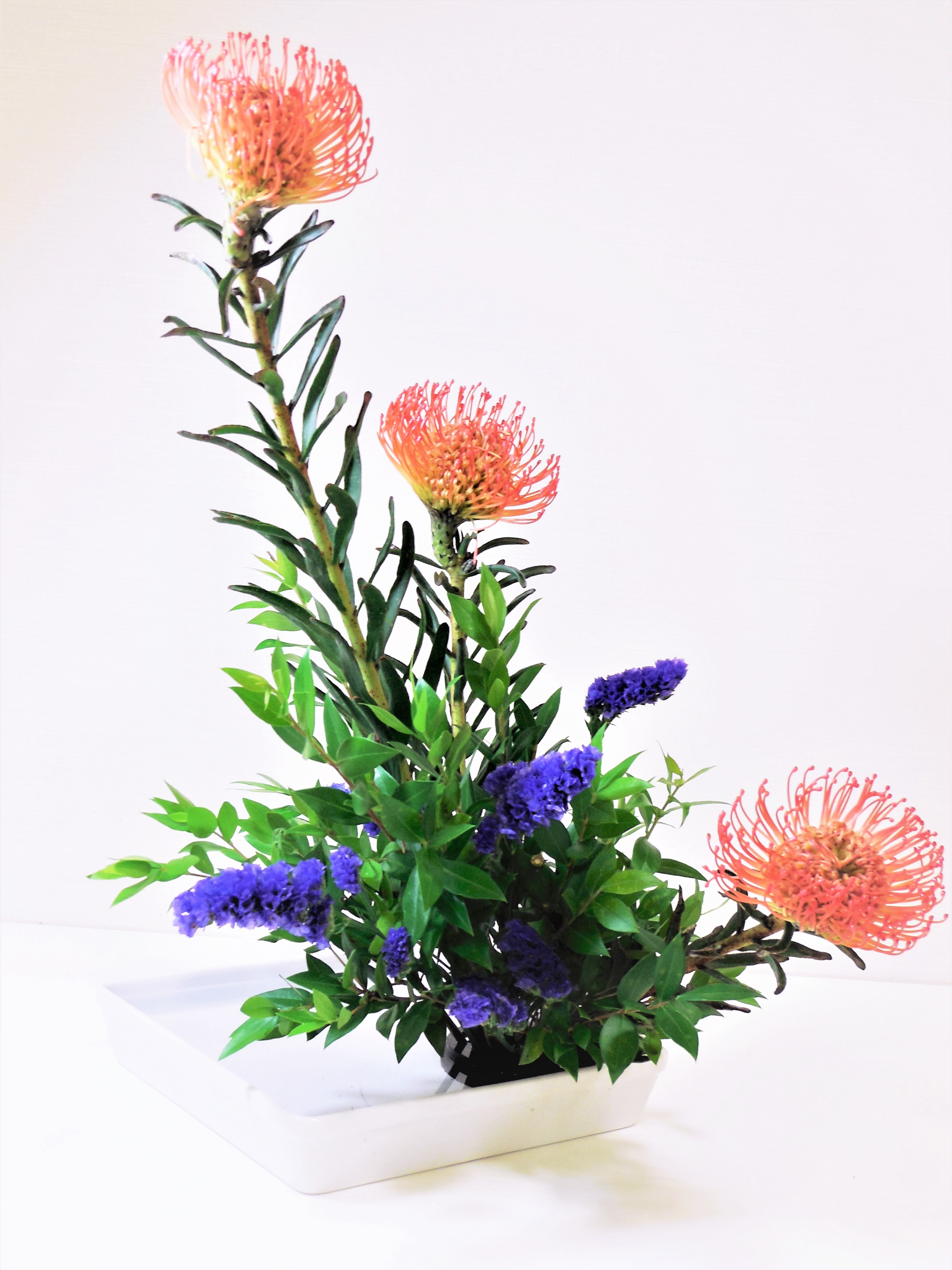 コース画像113701