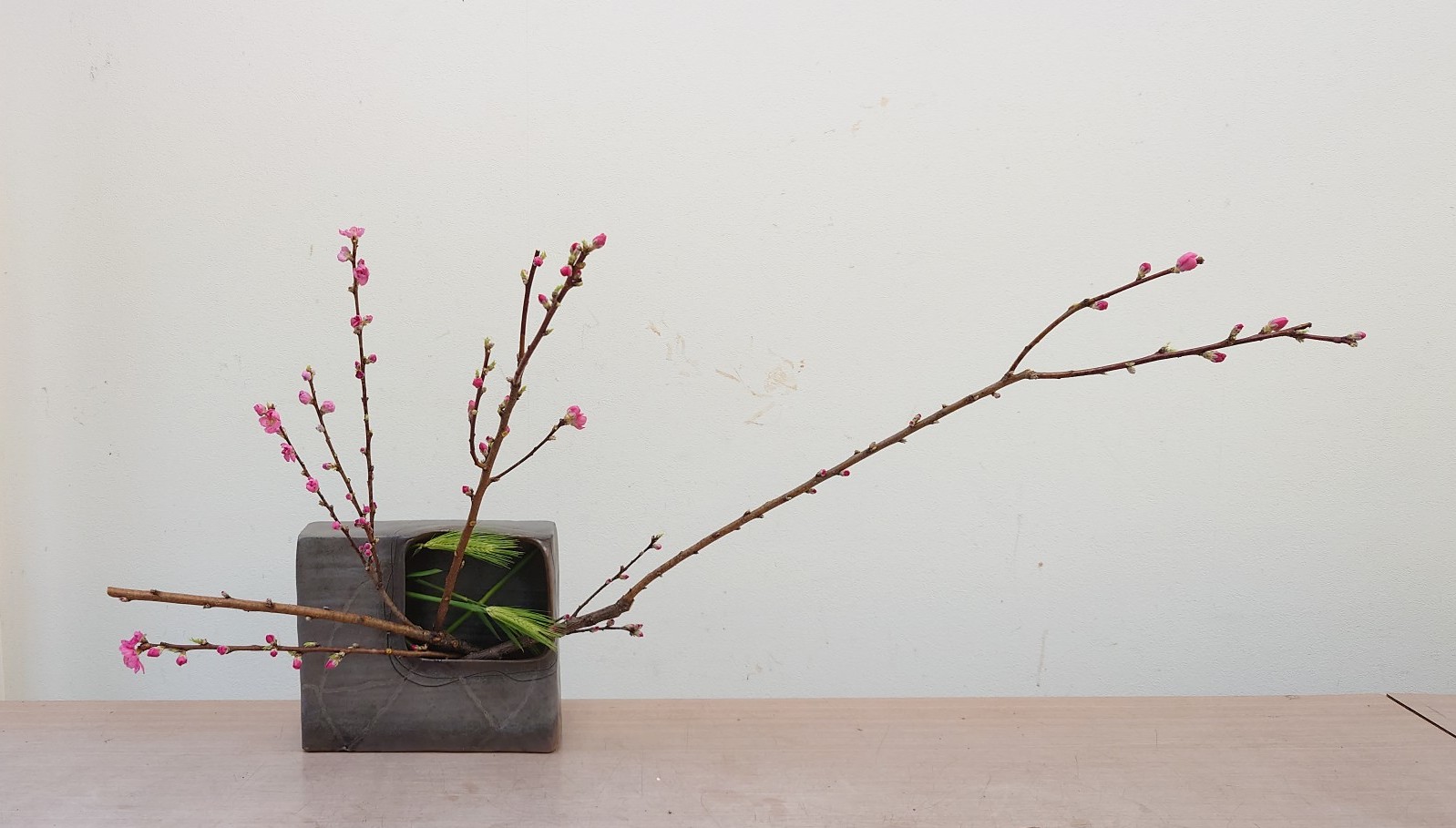 コース画像113157