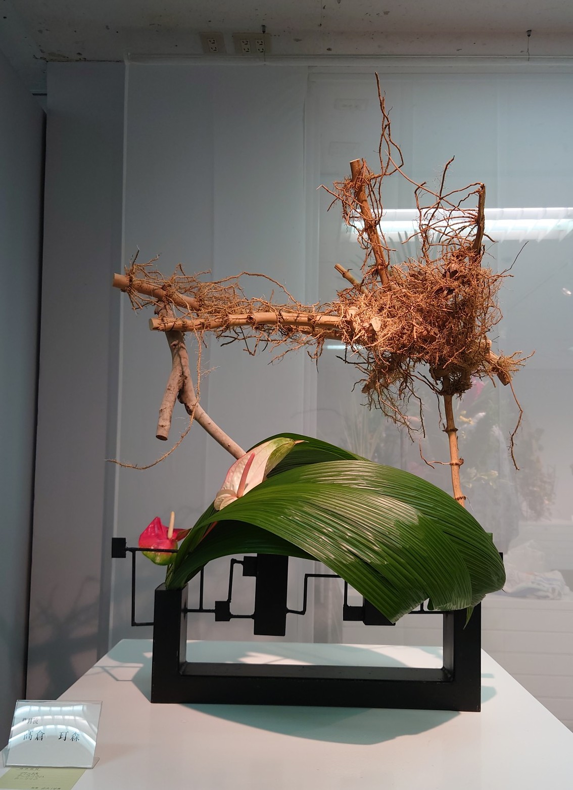 コース画像113158