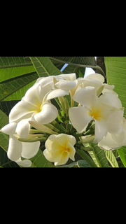 コース画像113282