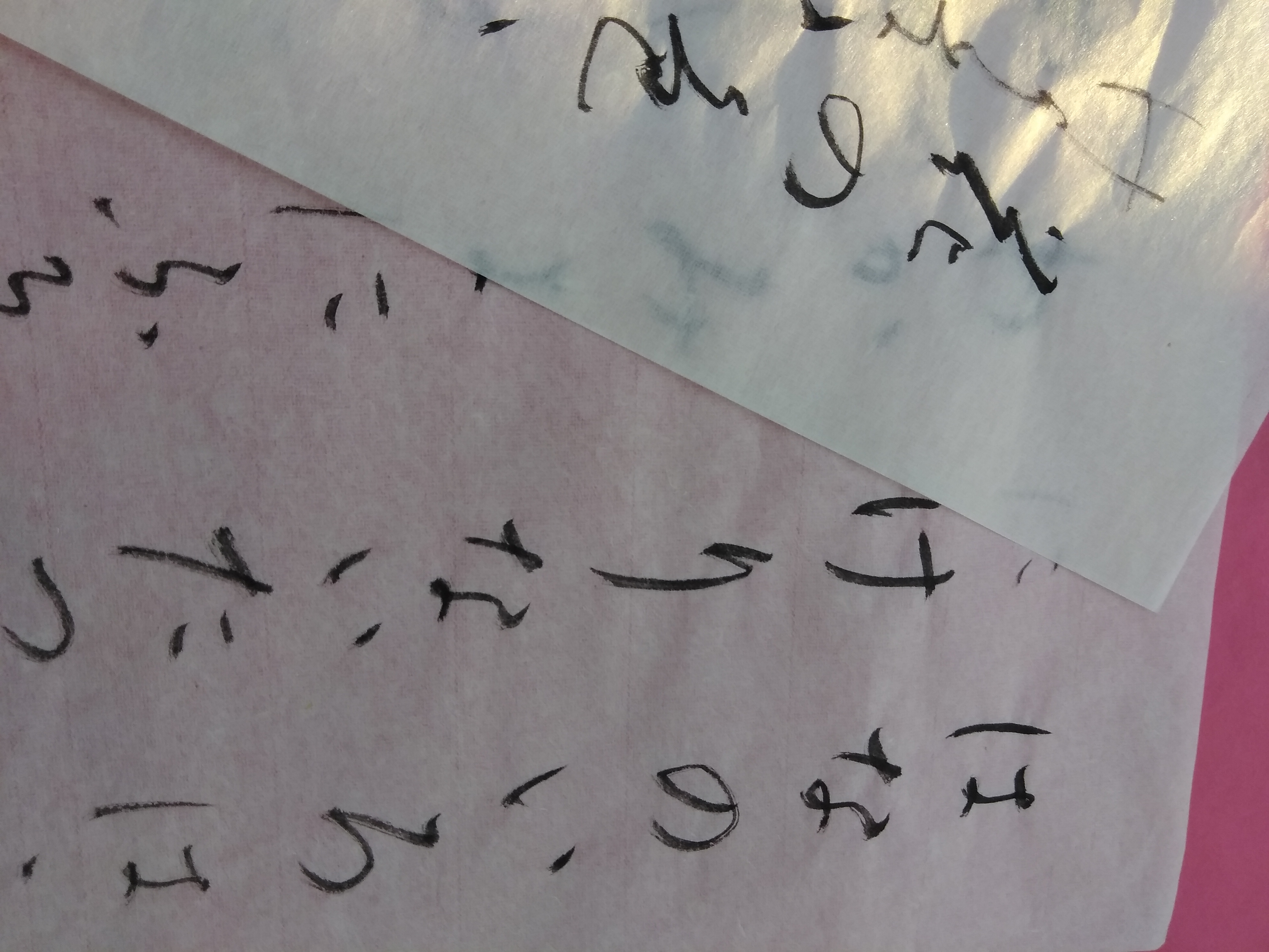 コース画像113376