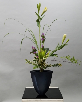 コース画像113635