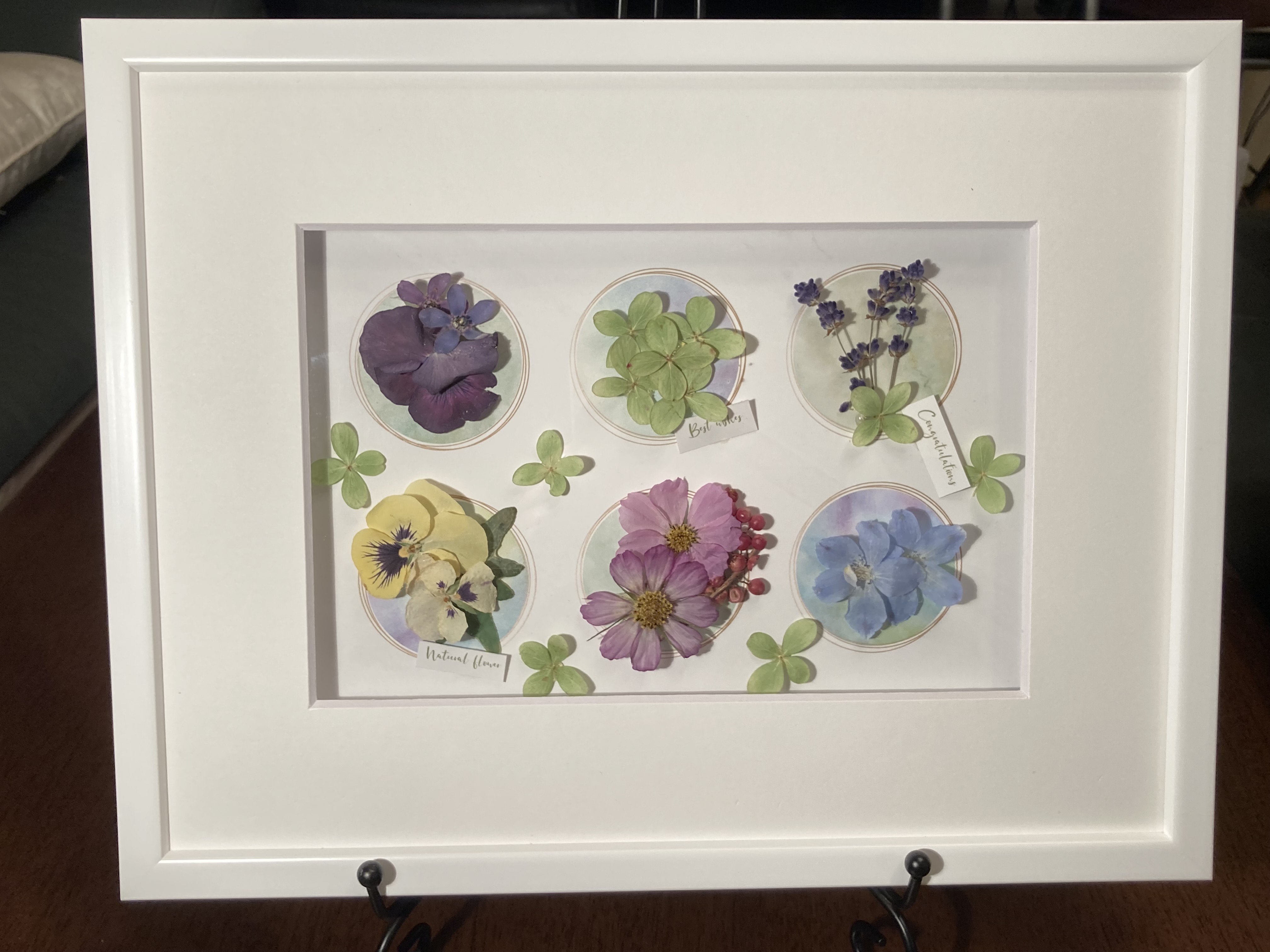 コース画像113641