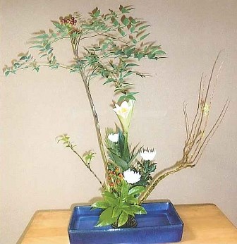 コース画像113683