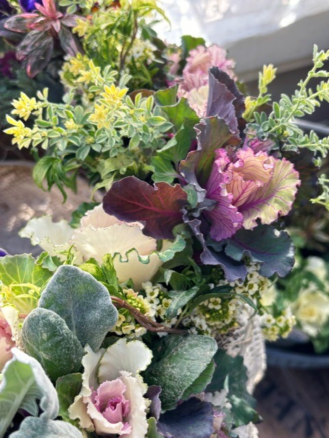 コース画像113714