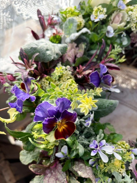 コース画像113715