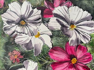 コース画像113847